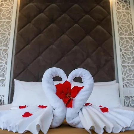 Vinea Hotel *