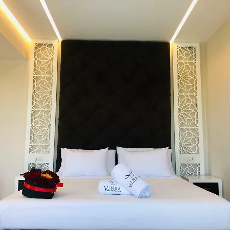 ホテル Vinea Arape-Rashbulli