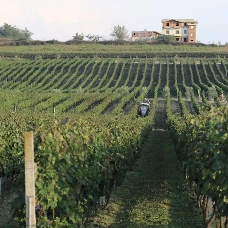 Vinea 호텔 Arape-Rashbulli