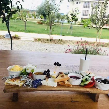 Vinea Arape-Rashbulli