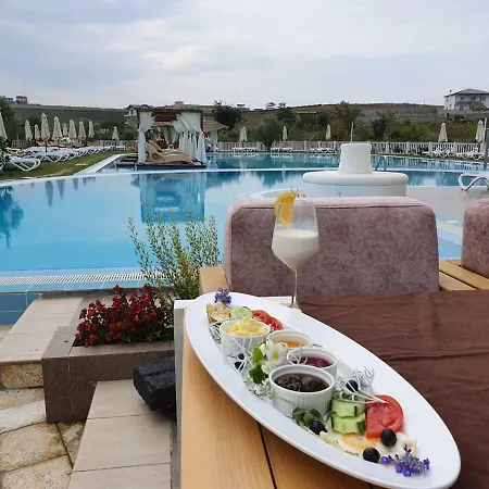 Vinea Arape-Rashbulli