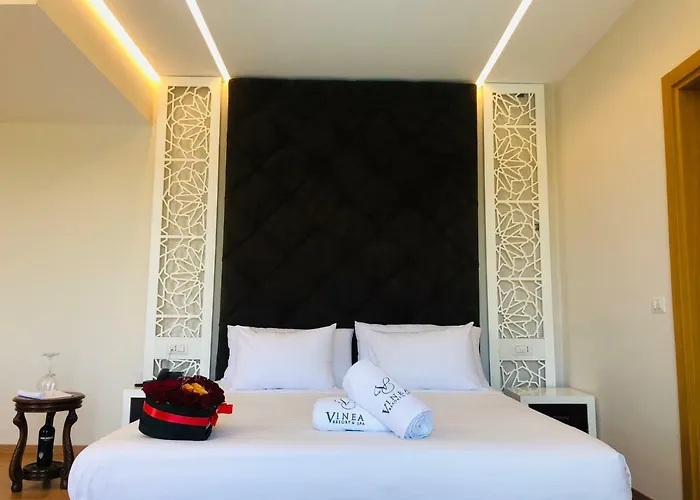 Hotel Vinea Arape-Rashbulli
